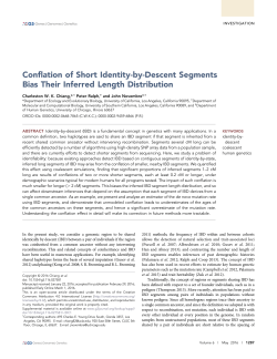 Conflation of Short Identity-by-Descent Segments Bias Their Inferred