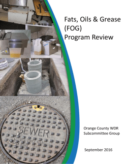 WDR FOG Final Report