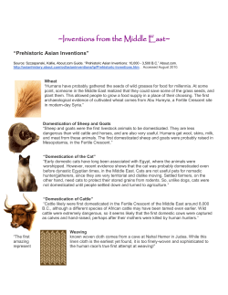Inventions from the Middle East