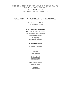 FY07 Salary Manual - Volusia County Schools
