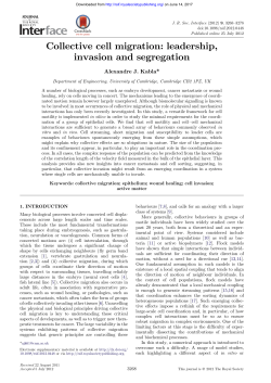 Collective cell migration: leadership, invasion and segregation