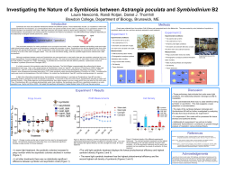 Investigating the Nature of a Symbiosis between