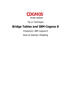 Bridge Tables and Cognos 8