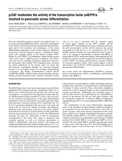 p/CAF modulates the activity of the transcription factor p48/Ptf1a