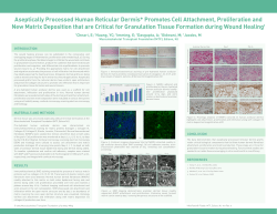 Aseptically Processed Human Reticular Dermis* Promotes Cell