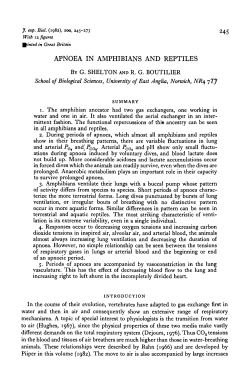 apnoea in amphibians and reptiles