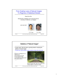 Statistics of “Natural Images”