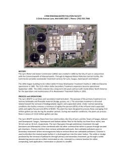 This Presentation Here