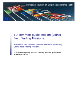 (EU) Guidelines for the processing of Fact Finding Missions