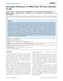 Secondary Structures of rRNAs from All Three Domains of Life