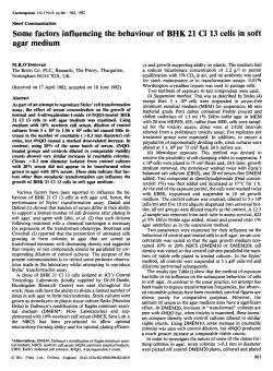 Some factors influencing the behaviour of BHK 21 Cl 13 cells in soft