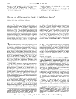 Histone LA, a Heteromorphous Family 01 Eight