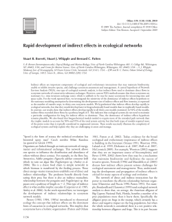 Rapid development of indirect effects in ecological networks