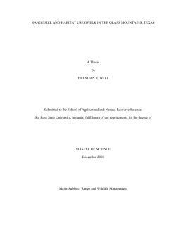 Phase_1_Report-Witt_thesis_111
