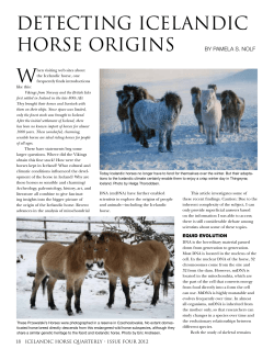 detecting icelandic horse origins