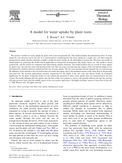 A model for water uptake by plant roots