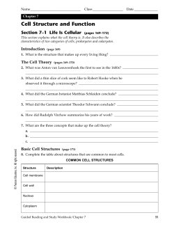 Chapter 7 Cell Structure and Function, SE