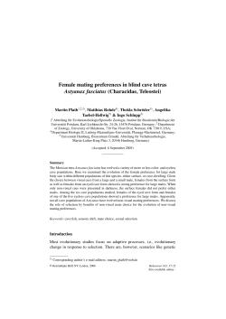 Female mating preferences in blind cave tetras Astyanax fasciatus