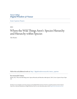 Species Hierarchy and Hierarchy within Species
