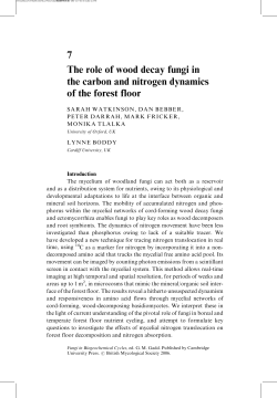 7 The role of wood decay fungi in the carbon and nitrogen dynamics