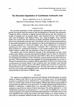 The Microbial Degradation of Cyclohexane