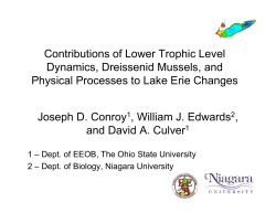 Contributions of Lower Trophic Level Dynamics, Dreissenid Mussels