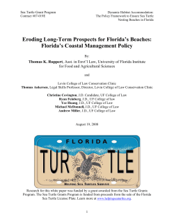 Eroding Long-Term Prospects for Florida`s Beaches
