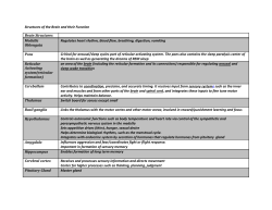 Parts of the Brain - Mayfield City Schools