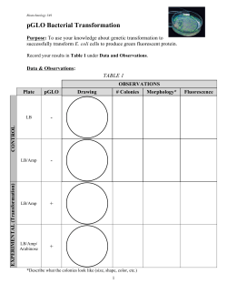 pGLO Data Sheet