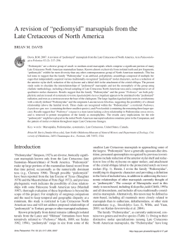 A revision of &ldquo;pediomyid&rdquo; marsupials from the Late Cretaceous of