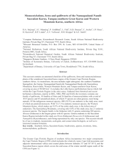 Succ Karoo Conspectus Ferns-Monocots