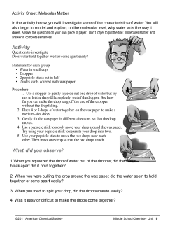 Activity What did you observe?