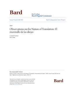 Observations on the Nature of Translation: El murmullo de las abejas
