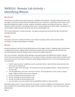 NANSLO Mitosis Lab Activity handout in PDF