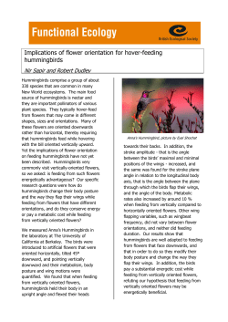 Implications of flower orientation for hover