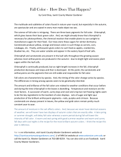 Fall Color - How Does That Happen?