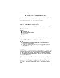 CO2 and Sugar writeup.pages