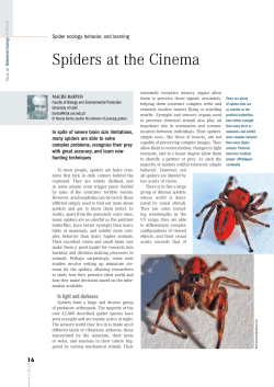 Spiders at the Cinema