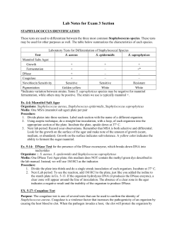 Lab Notes for Exam 3 Section