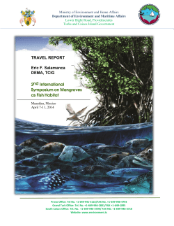 Ministry of Natural Resources