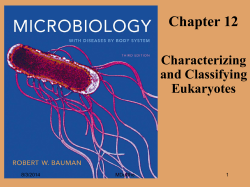 Eukaryotes Lab