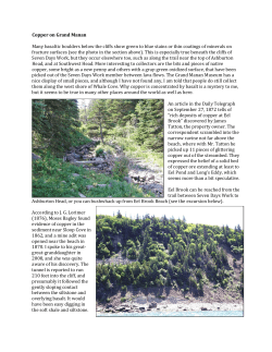 Copper on Grand Manan Many basaltic boulders below the cliffs