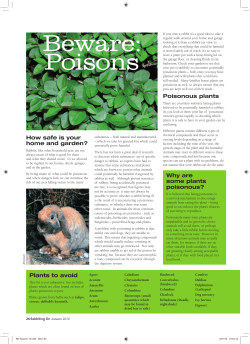 Beware: Poisons - Rabbit Welfare Association