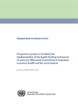Independent terminal review Preparatory project to