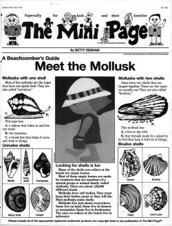 Meet the Mollusk