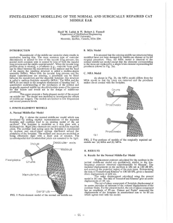 finite-element modelling of the normal and surgically repaired cat