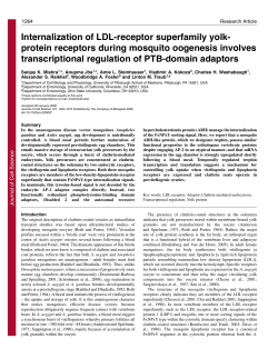 Internalization of LDL-receptor superfamily yolk