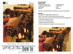 decorating with pine cones