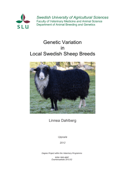 Genetic Variation in Local Swedish Sheep Breeds