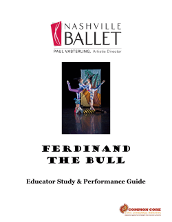 Ferdinand The Bull